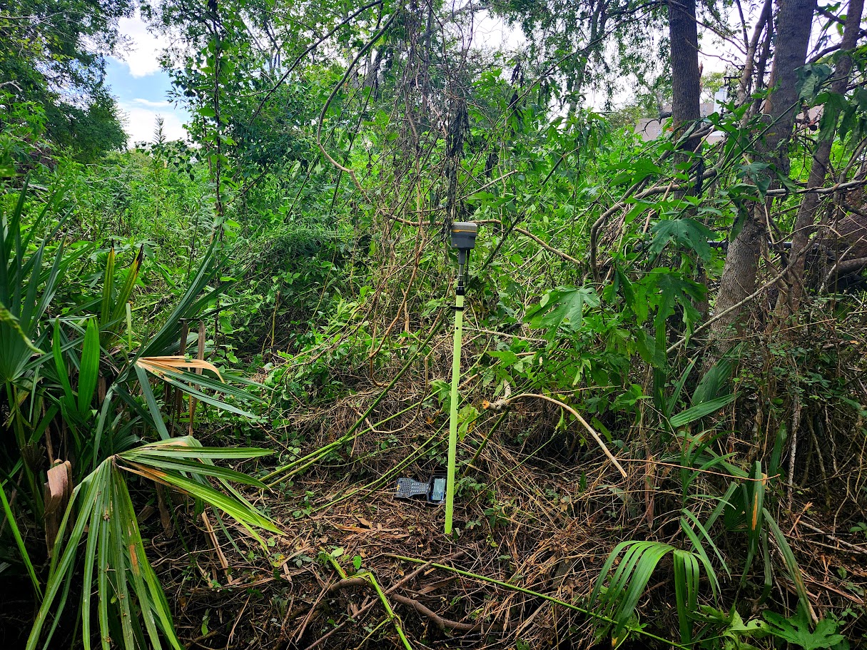 Surveying equipment in Southeast Texas field